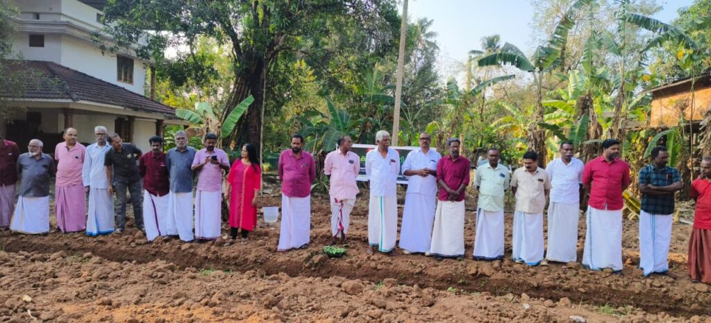 തലോർ സഹകരണ ബാങ്കിൻ്റെ സുരക്ഷിത പച്ചക്കറി കൃഷിക്ക് തുടക്കമായി തലോർ സഹകരണ ബാങ്കിൻ്റെ സുരക്ഷിത പച്ചക്കറി കൃഷിക്ക് തുടക്കമായി