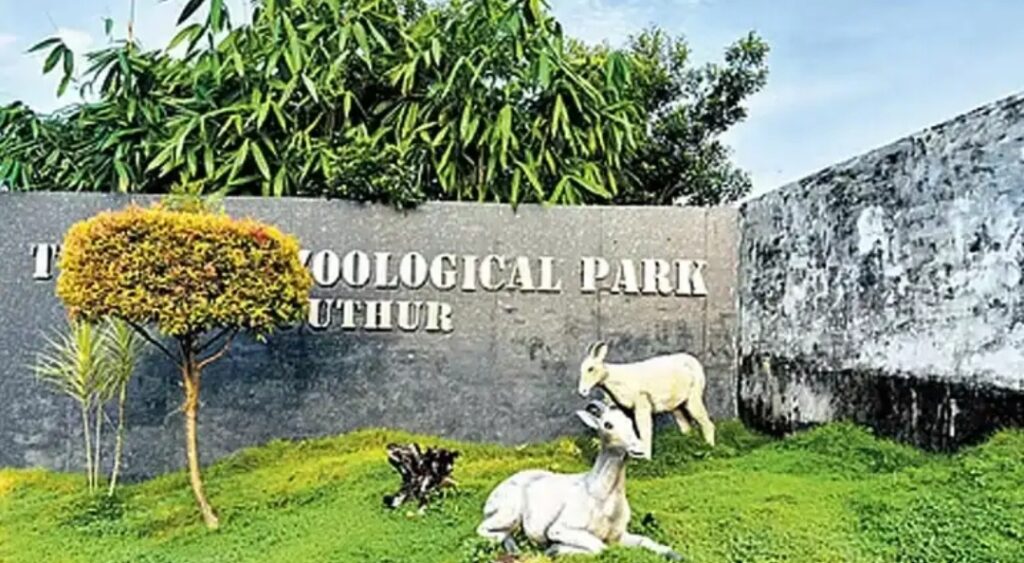 പുത്തൂര് സുവോളജിക്കല് പാര്ക്ക് 28-ന് പൊതുജനങ്ങള്ക്കായി തുറക്കും; ടിക്കറ്റ് നിരക്കുകള് അറിയാം പുത്തൂര് സുവോളജിക്കല് പാര്ക്ക് 28-ന് പൊതുജനങ്ങള്ക്കായി തുറക്കും; ടിക്കറ്റ് നിരക്കുകള് അറിയാം