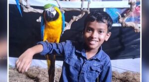 മറ്റത്തൂര്‍ കോടാലിയില്‍ എട്ട് വയസുകാരൻ പാമ്പ് കടിയേറ്റ് മരിച്ചു, സഹോദരൻ ഗുരുതരാവസ്ഥയിൽ