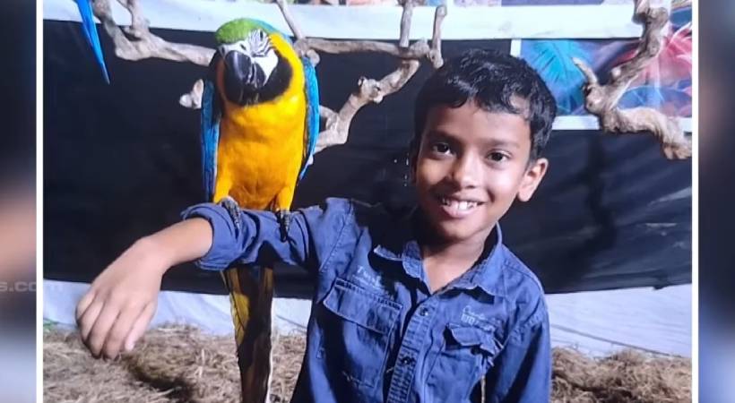 മറ്റത്തൂര്‍ കോടാലിയില്‍ എട്ട് വയസുകാരൻ പാമ്പ് കടിയേറ്റ് മരിച്ചു, സഹോദരൻ ഗുരുതരാവസ്ഥയിൽ