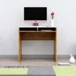 Bniture Wooden Study Table for Home | Engineered Wood Laptop Study Table | Multi Purpose Office Desk for Laptop, Computer, Writing | Table for Study, Workstation Home, Giant Wood & Frosty White