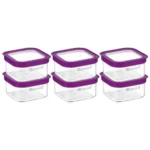 Floraware Food Safe Plastic Multiuse Square Fit-Lock Airtight Storage Jar, Grocery Container, 450 ml, set 6 BPA free, Purple