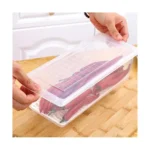 Food Storage Container with Lid- Unbreakable Stackable Plastic Freezer Storage Container with Drain Plate and Lid for Fridge Storage Box for Fish, Meat, Vegetables, and Fruits (Pack of 2)
