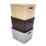 HomeStrap Rectangular Set Of 3 Large Plastic Storage Organizers/Baskets With Lid For Kitchen, Clothes, Multipurpose Vegetables, Toys, Books, Office, Stationery, Wardrobe(Biscuit, Grey, Brown)