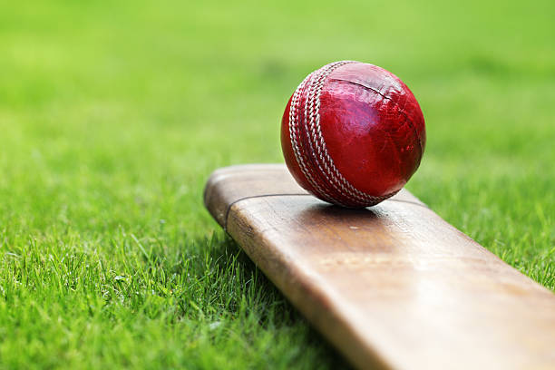Uttarakhand Gold Cup cricket