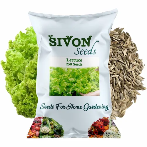SIVON Lettuce 250+ Vegetable Seeds for Home Garden SIVON Lettuce 250+ Vegetable Seeds for Home Garden